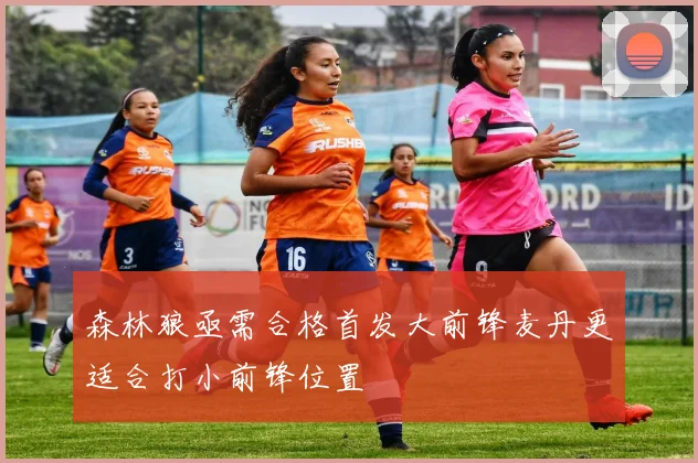森林狼亟需合格首发大前锋麦丹更适合打小前锋位置