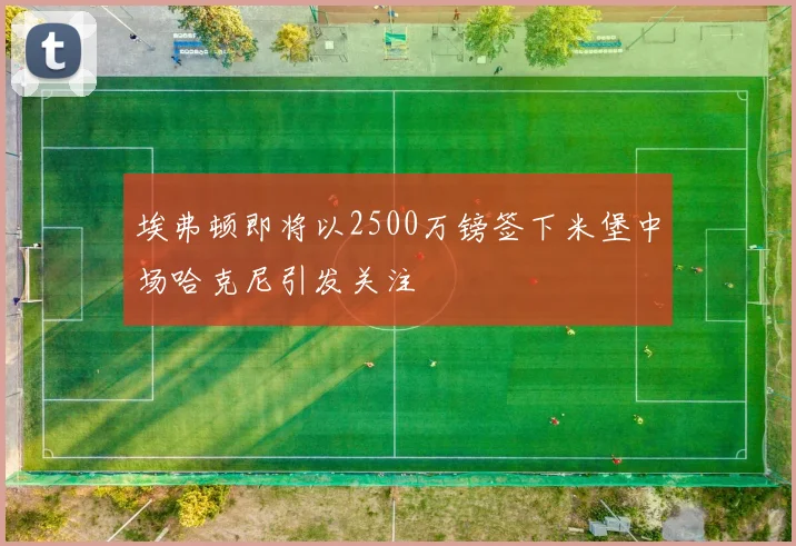 埃弗顿即将以2500万镑签下米堡中场哈克尼引发关注